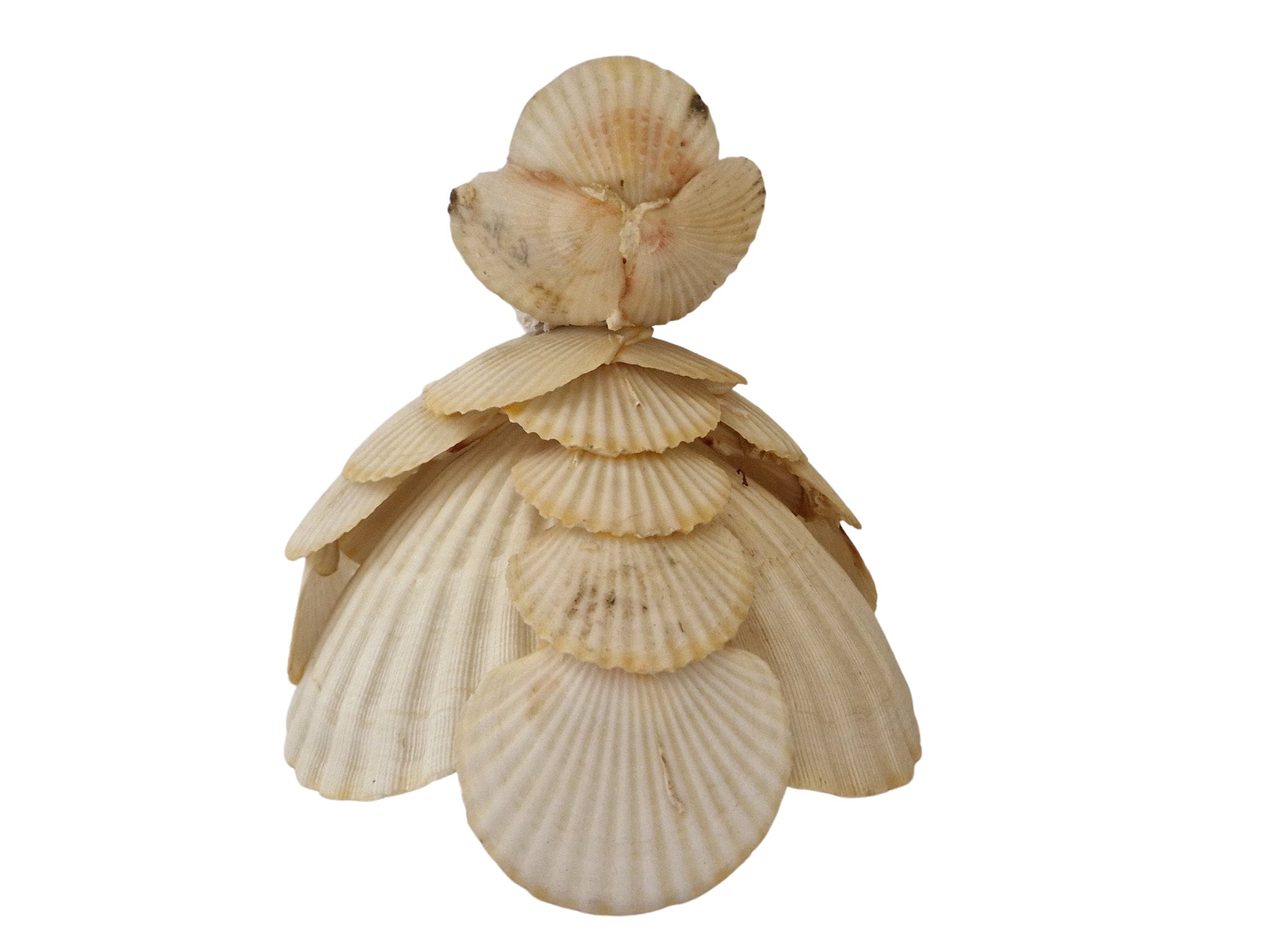 Antique Sea Shell Bride Figurine, French Seashell Art Coastal Souvenir, Victorian  Wedding Doll 