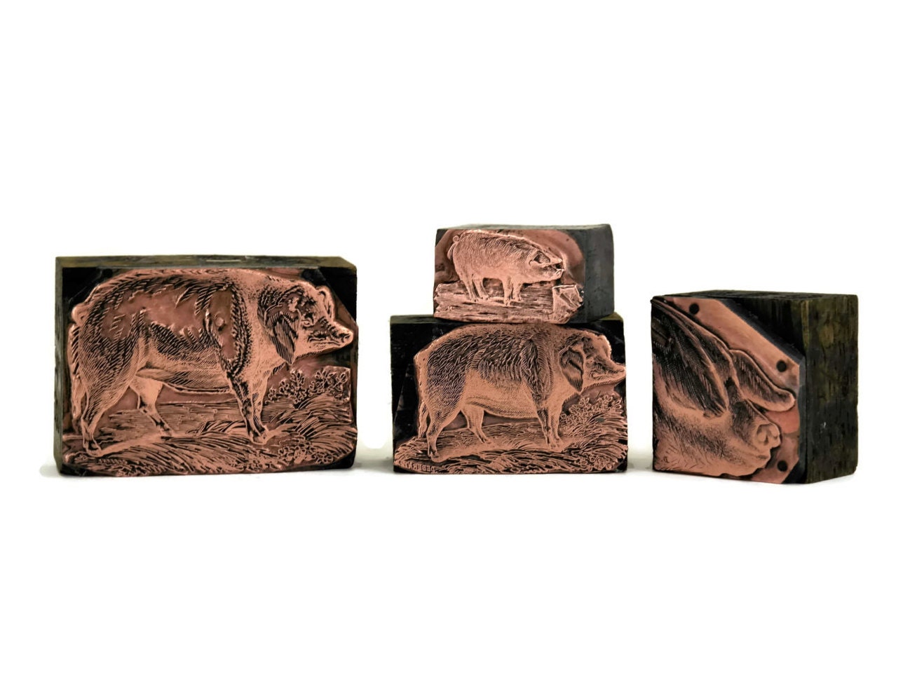 Antique Pig Copper Letterpress Printing Plates. Set of 4 Printers Block