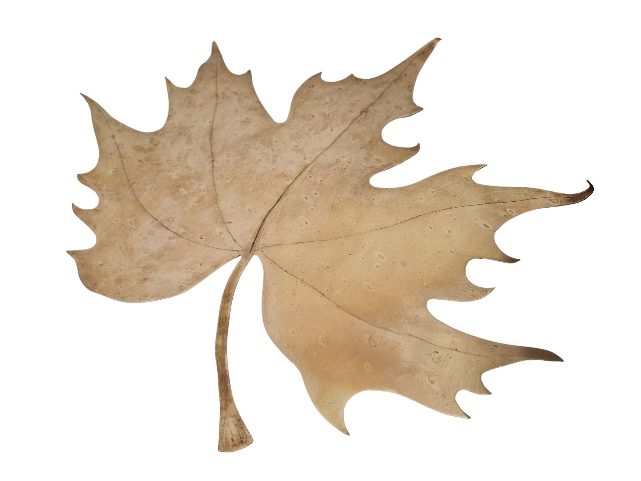 Vintage Brass Maple Leaf Sculpture, 1970s French Botanical Art, Fall