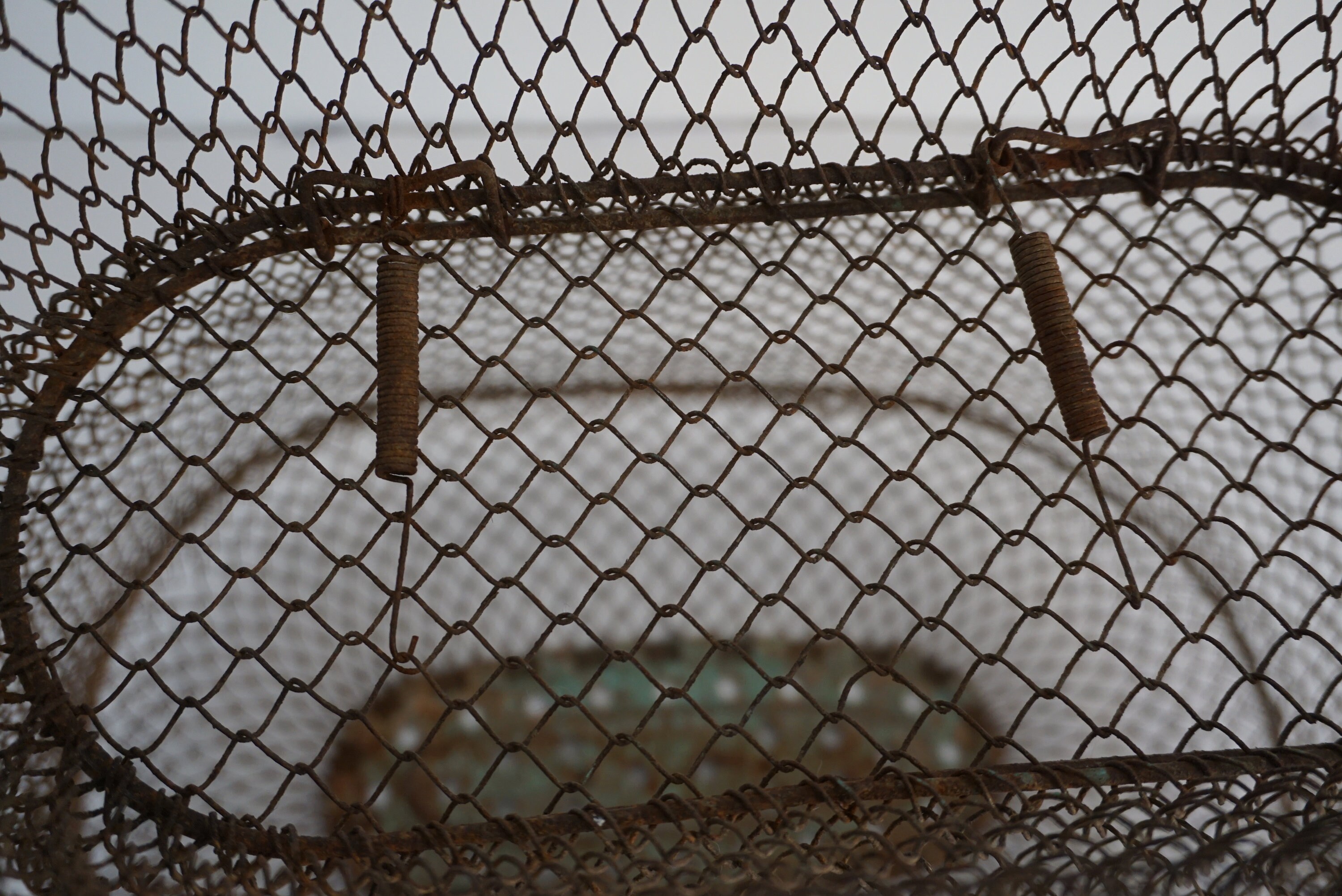 French Wire Floating Fish Basket with Collapsible Wire Mesh Cage
