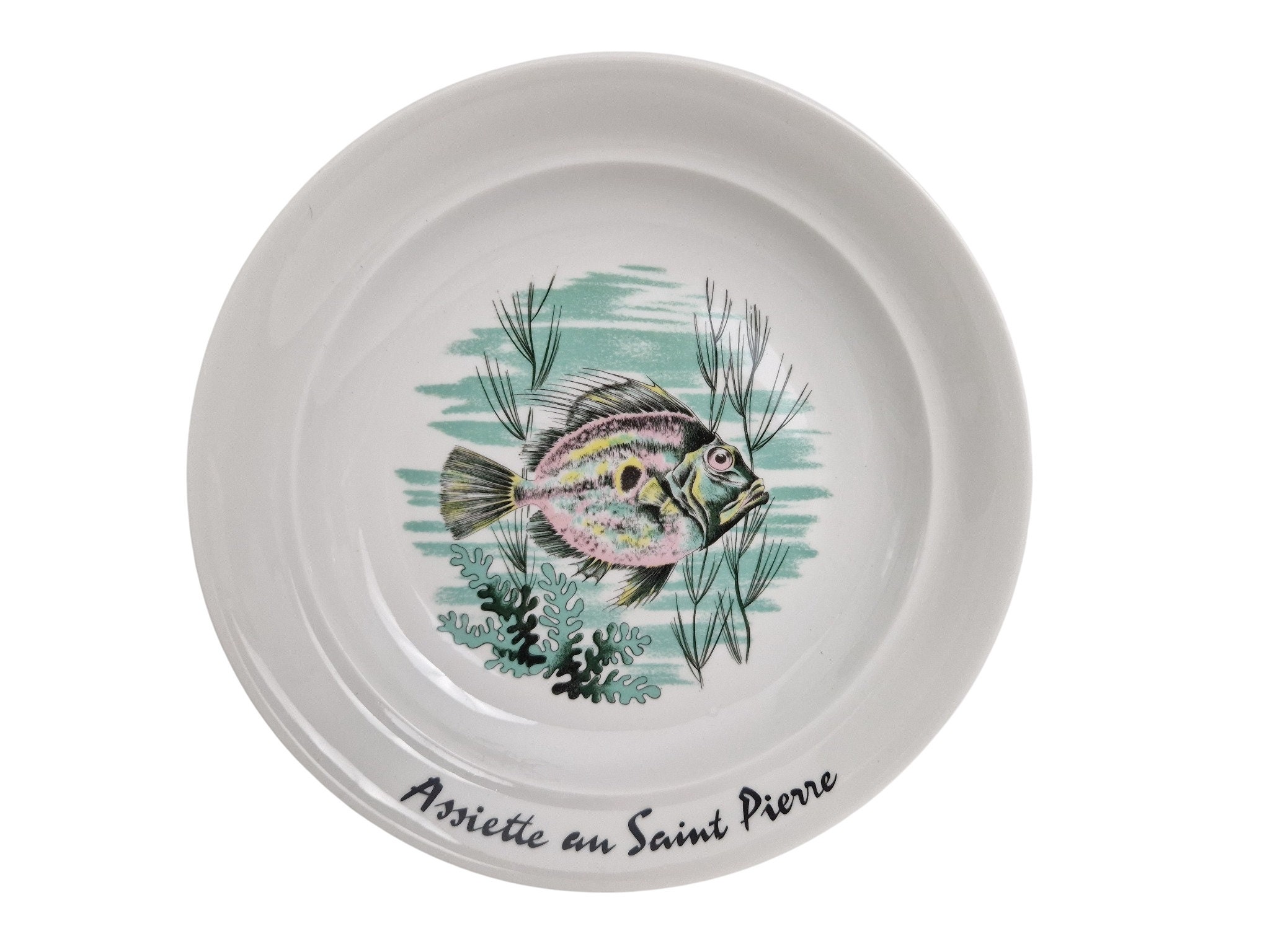 French Porcelain Fish Plates by PILLIVUYT, Set of 4, Bouillabaisse