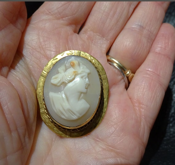 Shell Cameo Brooch, Vintage - image 8