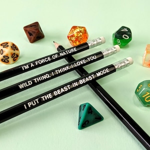 Conjunto de Lápis D&D Classe Druida | Coloquei a Besta no Modo Besta | Dungeons and Dragons | RPG | DnD | Role para Iniciativa | 5e