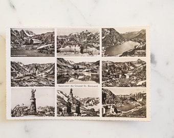 Vintage Bernhardiner Foto Postkarte, 1940er Jahre Unbenutzt