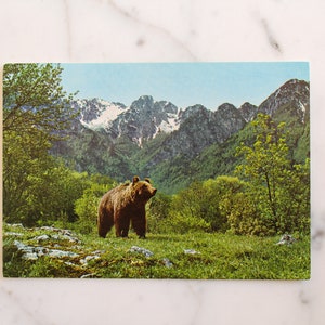 Carte postale vintage, vue sur la montagne des Abruzzes, carte postale vintage, carte postale photographique inutilisée Italie vraie photo