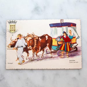 Cartolina Vintage Portogallo