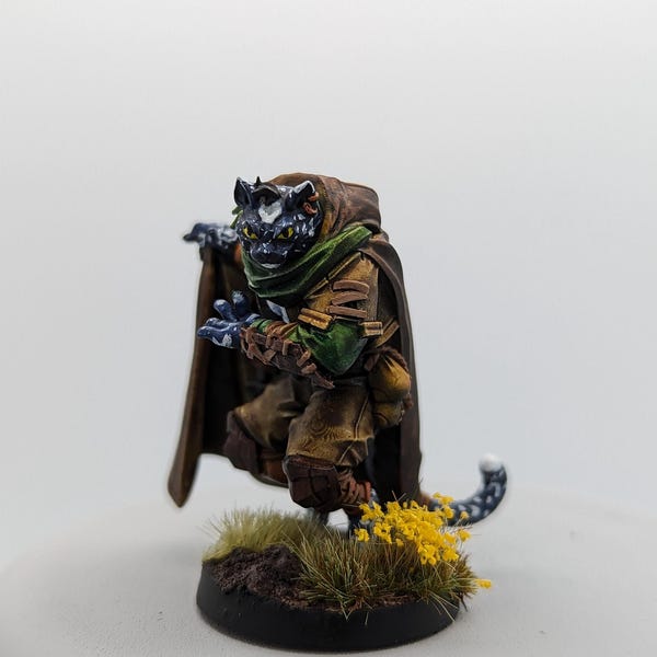 Bite the Bullet: Tabaxi Smuggler