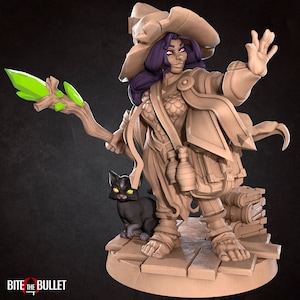 Nimble Halfling Star Wizard