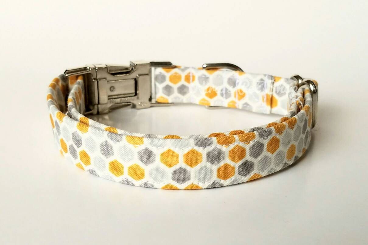 trendy dog accessories