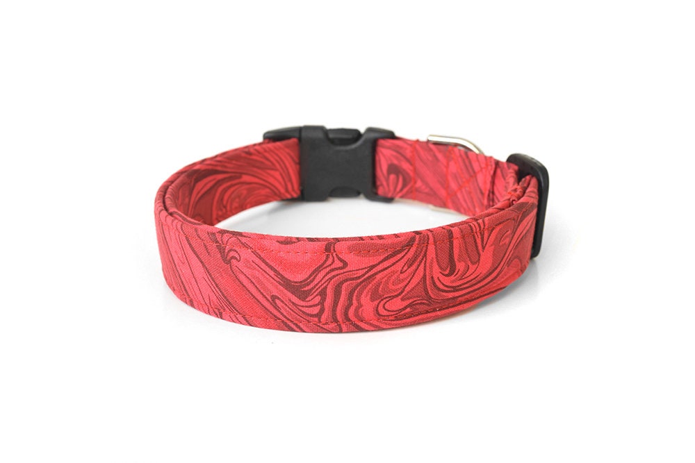 modern dog accessories