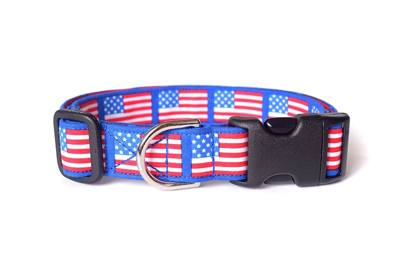American Flag Dog Collar USA Dog Collar Designer Dog Etsy