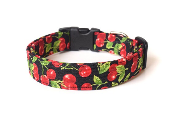 designer collar