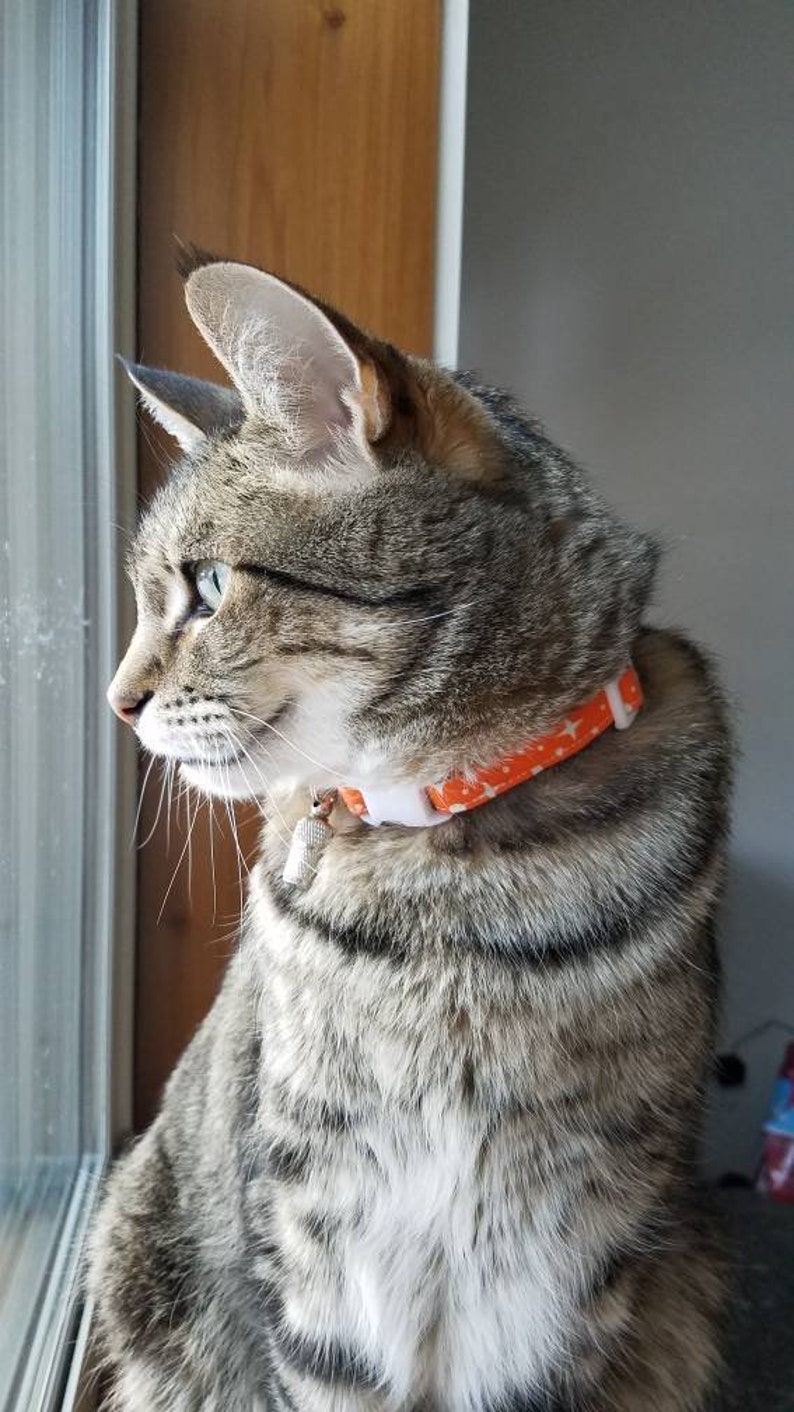 Orange Cat Collar Breakaway Cat Collar Orange Stars Space Etsy