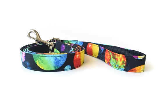 colorful dog leashes
