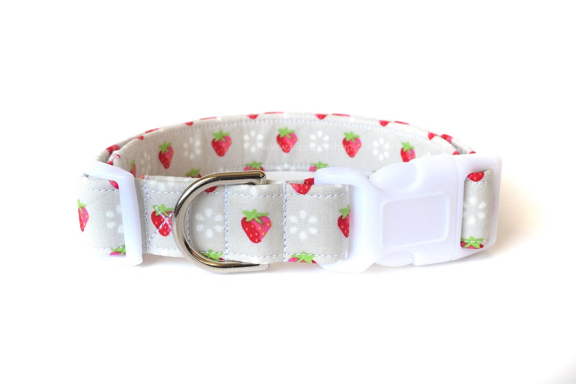 Strawberry Dog Collar Girly Dog Collar Spring Dog Collar Etsy