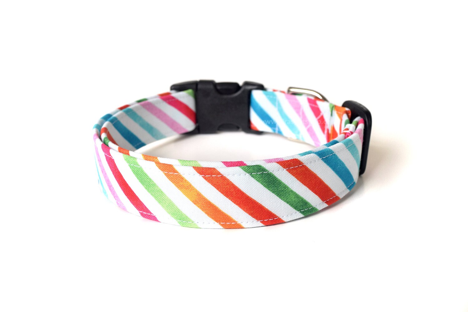 rainbow dog accessories