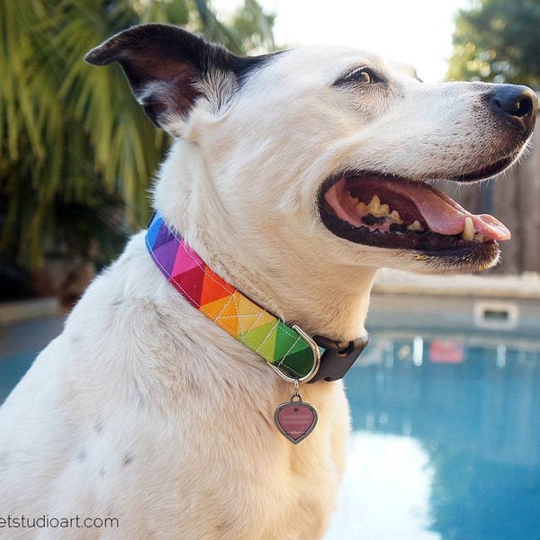 Rainbow Dog Collar, LGBTQ Pride Dog Collar, Designer Dog Accessories, Adjustable Dog Collar, Buckle or Martingale