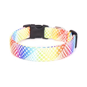 Rainbow Dots on White Dog Collar - Handmade by Kira's Pet Shop