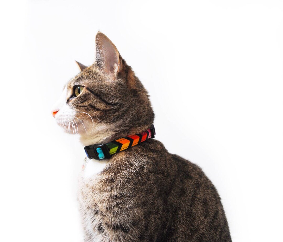 Rainbow Cat Collar, Breakaway Cat Collar, LGBT Pride Cat Collar
