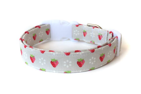 girly dog collars