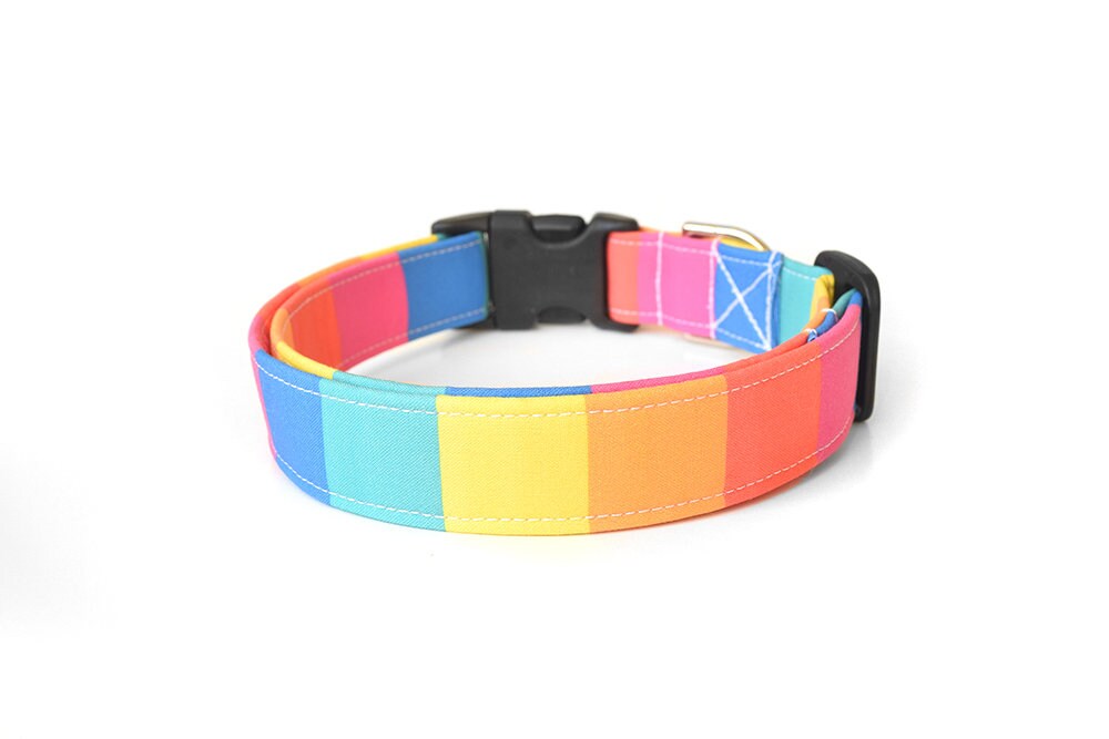 rainbow dog accessories