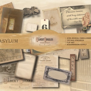 Asylum Book Nook, Scrapbook Clip Art stampabile 24 pezzi 5 JPG ~ 20 fogli di diario 4 sfondi ~ Ratto, citazione di Poe, medicina, finestra sbarrata