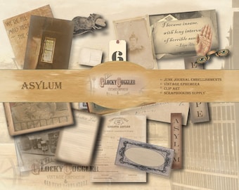 Asylum Book Nook, Scrapbook Printable Clip Art 24 Piece 5 JPGs ~ 20 Journal 4 Background Sheets ~ Rat, Poe Quote, Medicine, Barred Window