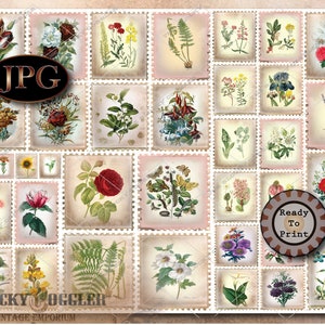 36 Botanical Stamps Printable JPG File ~ Aged Created Journal Scrap ~ Vintage Background Stamp Images, Antique Scientific Flowers & Plants