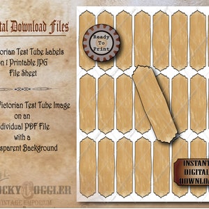25 etichette in provetta stampabili JPG & PNG File ~ Victorian Asylum Halloween Apothecary Medicine, Spice 1 X 3.5 "Tags ~ Aged Paper Junk Journal