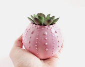 Ceramic Succulent Planter - Ceramic Vessel - Pink Housewares