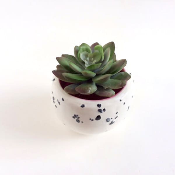 Small Black and White Ceramic Planter - Succulent Planter