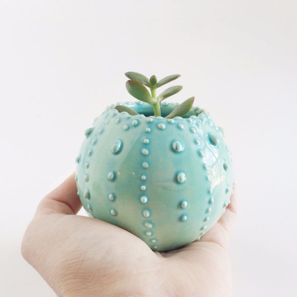 Small Planter Vessel - Mint Ceramics - Succulent Planter