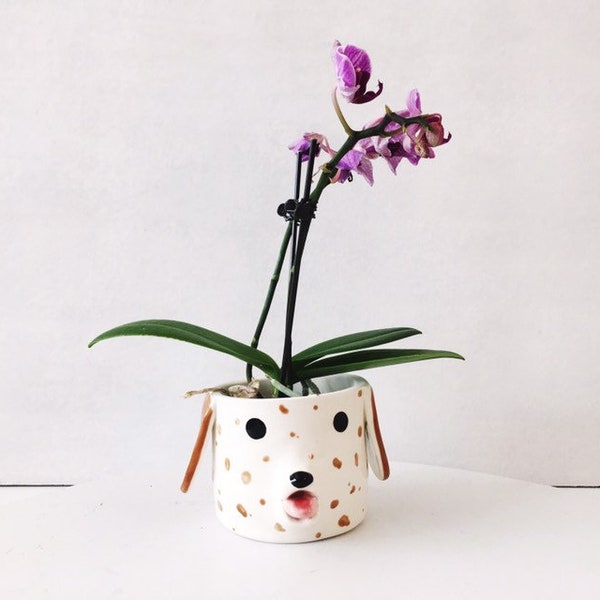 Dog Ceramic Planter - Succulent Indoor Small Plant Pot