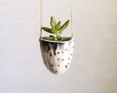 Hanging Planter with Gold - Gold Ceramics - Small Succulent Planter - Gold Housewares