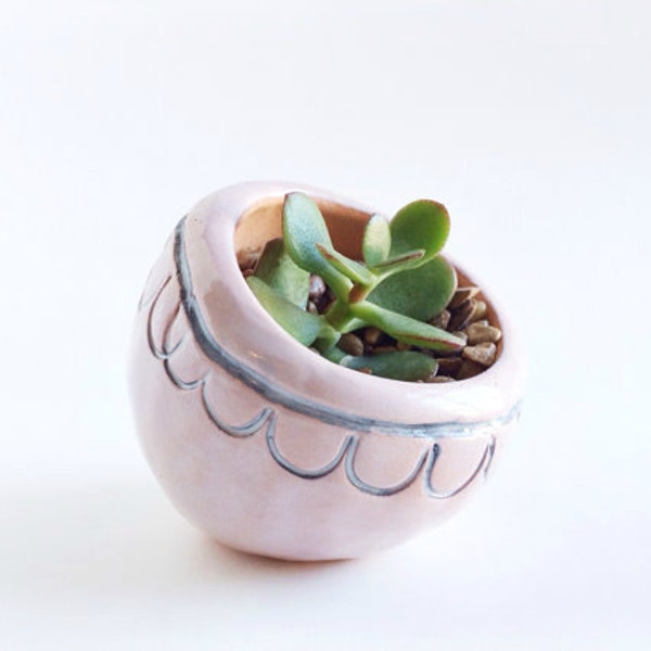 Succulent Ceramic Planter - Pottery Plant Pot with Scalloped Trim