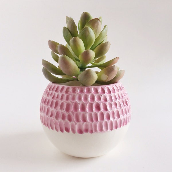 Carved Succulent Planter - Pink Ceramics - Ceramics and Pottery