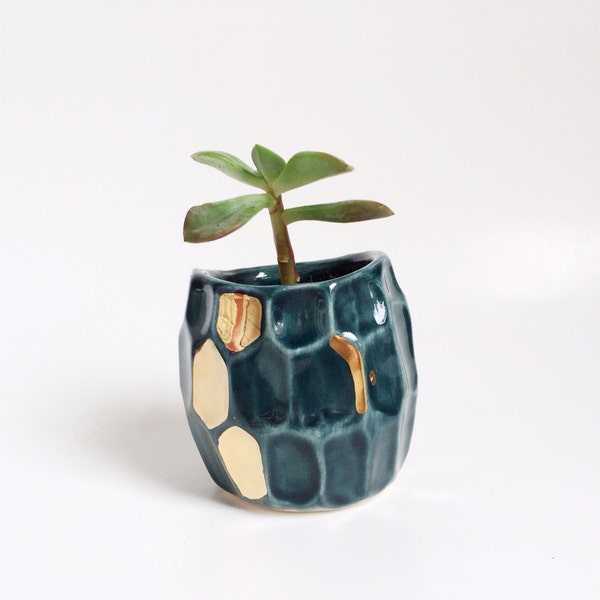 Succulent Planter - Teal Decor - Ceramics and Pottery - Indoor Planter - Gold Planter