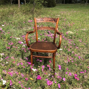 May include: A wooden chair with a carved back and armrests sits in a field of pink and white flowers.