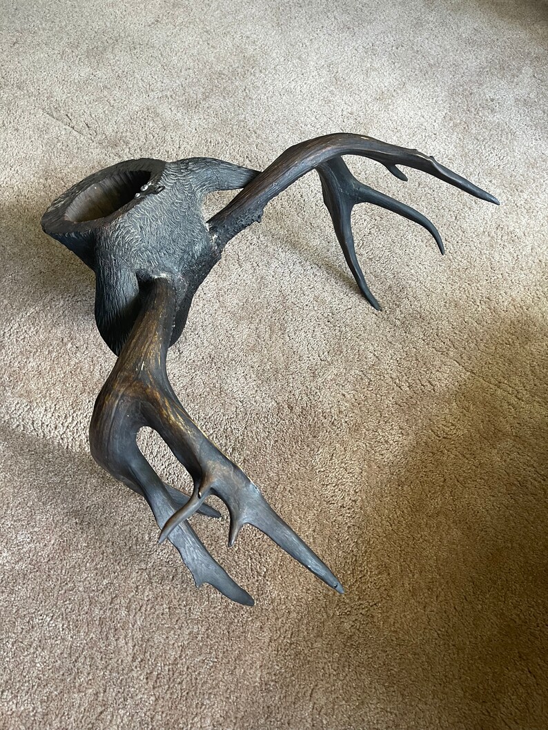 Black Forest Buck Deer Mount Hand Carved Deer Head Taxidermy Etsy