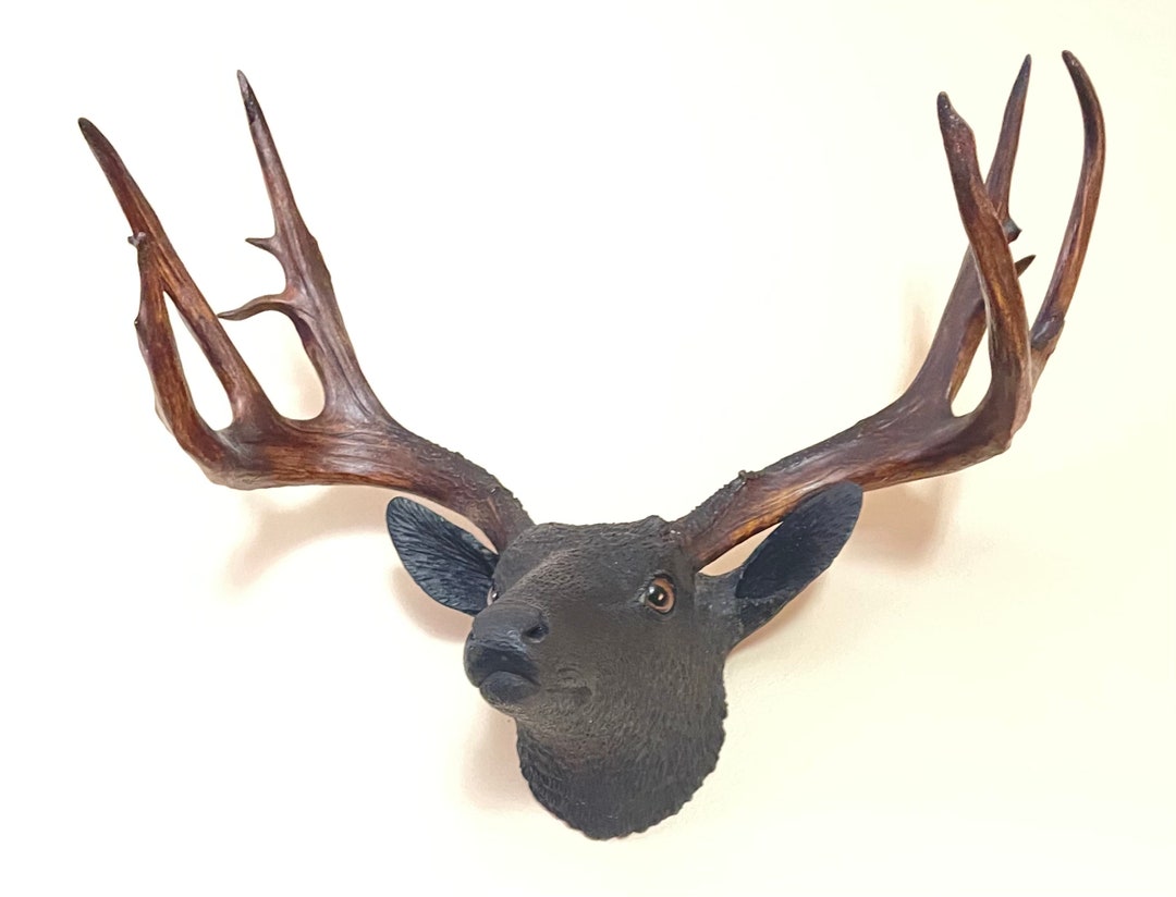 Black Forest Buck Deer Mount, Hand Carved Deer Head, Taxidermy Deer