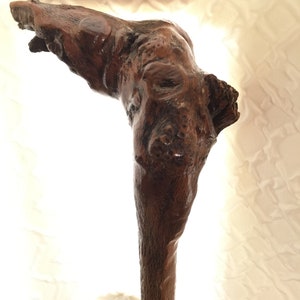 May include: A dark brown wooden walking stick with a unique, gnarled, and textured design. The stick is curved at the top, resembling a hook.
