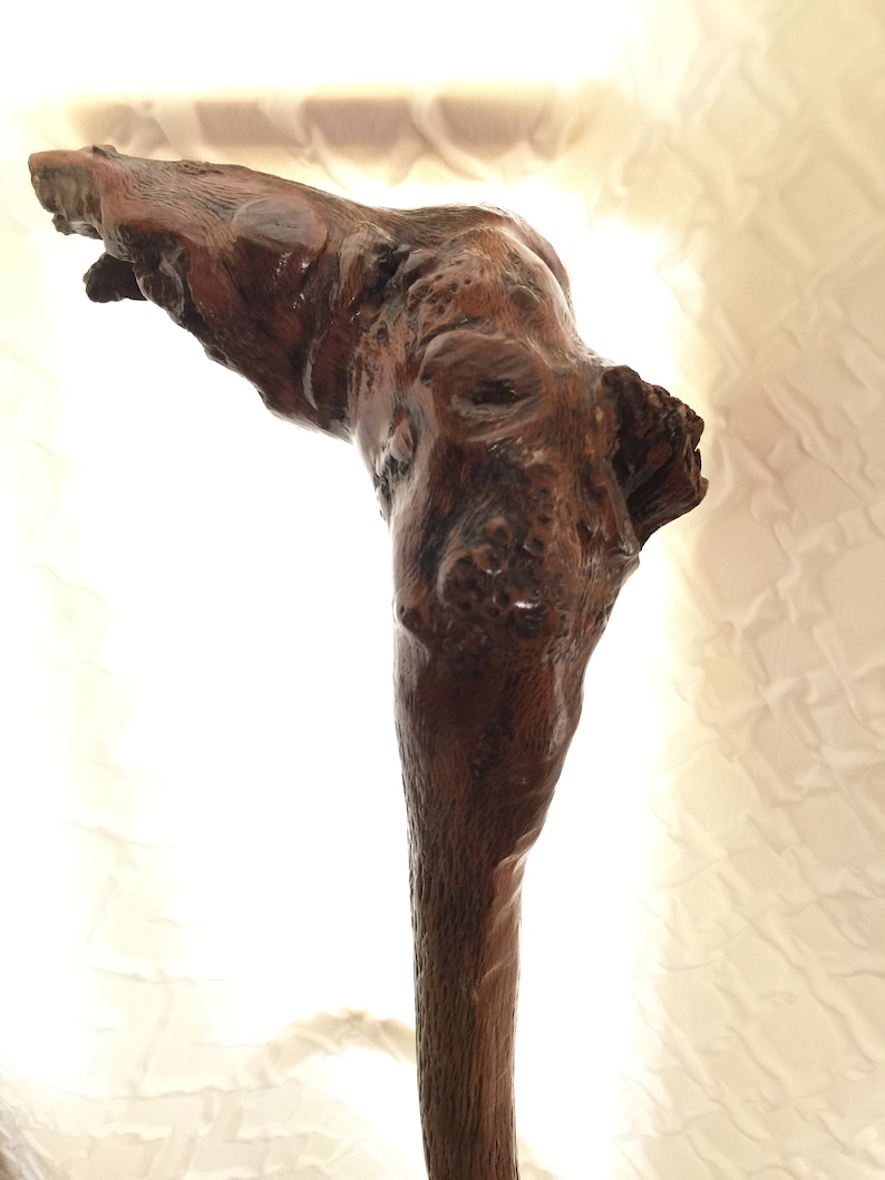 May include: A dark brown wooden walking stick with a unique, gnarled, and textured design. The stick is curved at the top, resembling a hook.