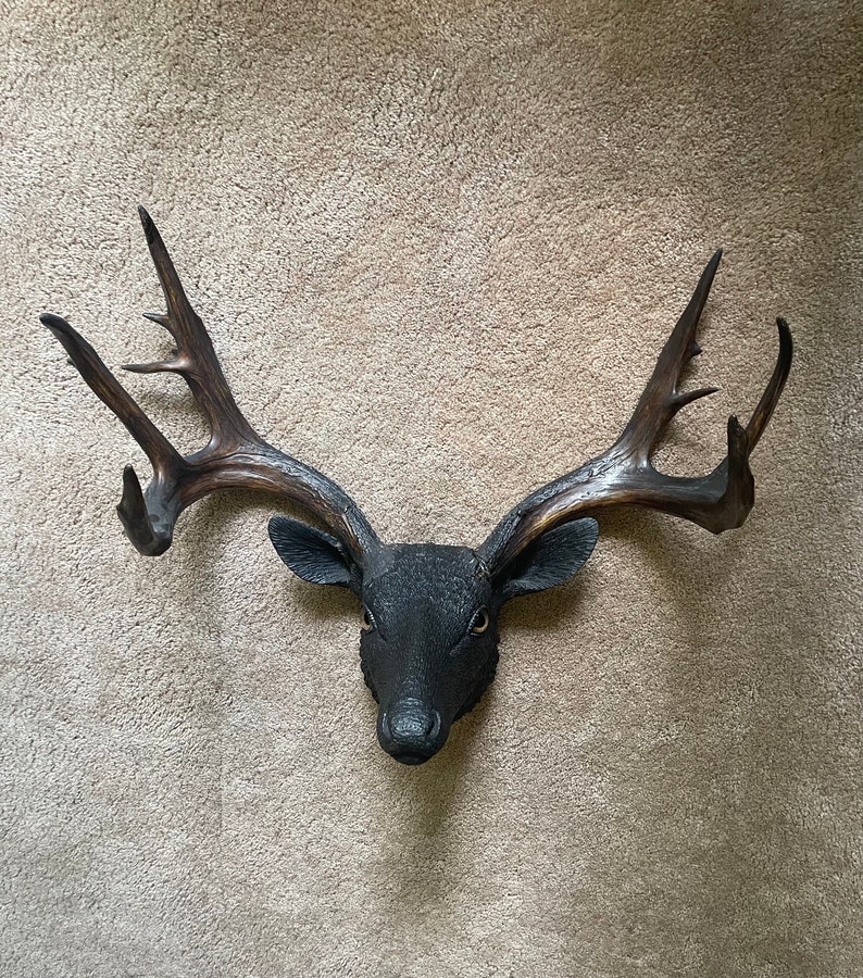 Black Forest Buck Deer Mount Hand Carved Deer Head Taxidermy Etsy