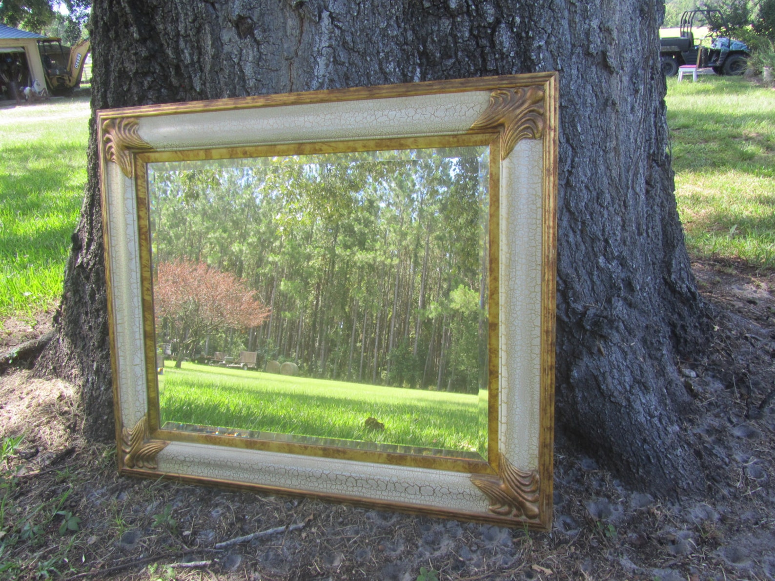 Shabby Chic Mirror Large Mirror Ornate Mirror Gold Mirror Etsy