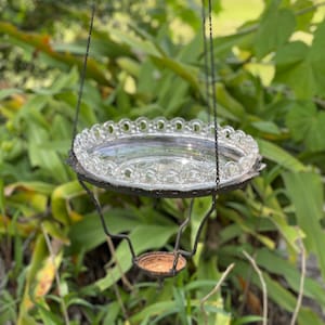 May include: A hanging bird feeder made of metal with a glass dish. The feeder has a small, round, metal dish at the bottom.