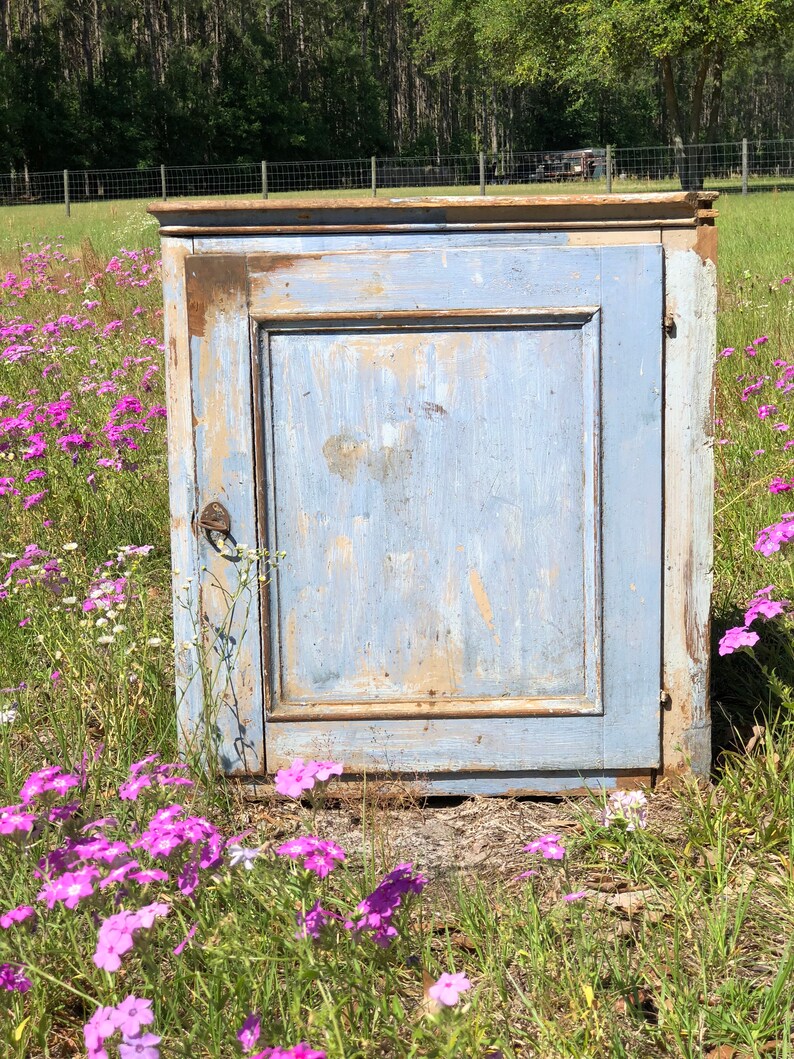 May include: A single-door cabinet with a light blue painted finish. The cabinet has a simple design with a single door and a top shelf. The cabinet is weathered and shows signs of age. The cabinet is sitting in a field of pink flowers.