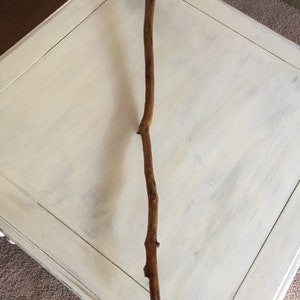 May include: A wooden walking stick with a carved animal head at the top. The stick is brown and has a natural, rustic look.