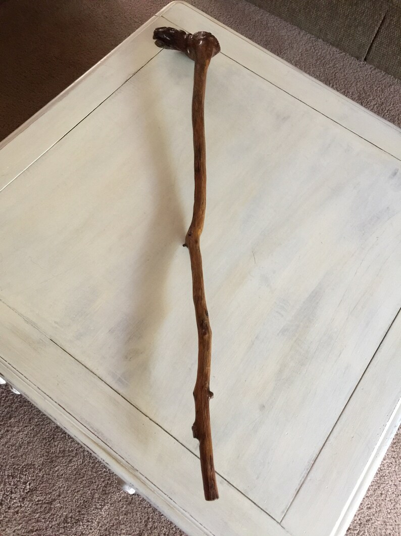 May include: A wooden walking stick with a carved animal head at the top. The stick is brown and has a natural, rustic look.