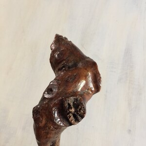 May include: A close-up of the top of a wooden walking stick. The stick is dark brown and has a natural, gnarled shape.