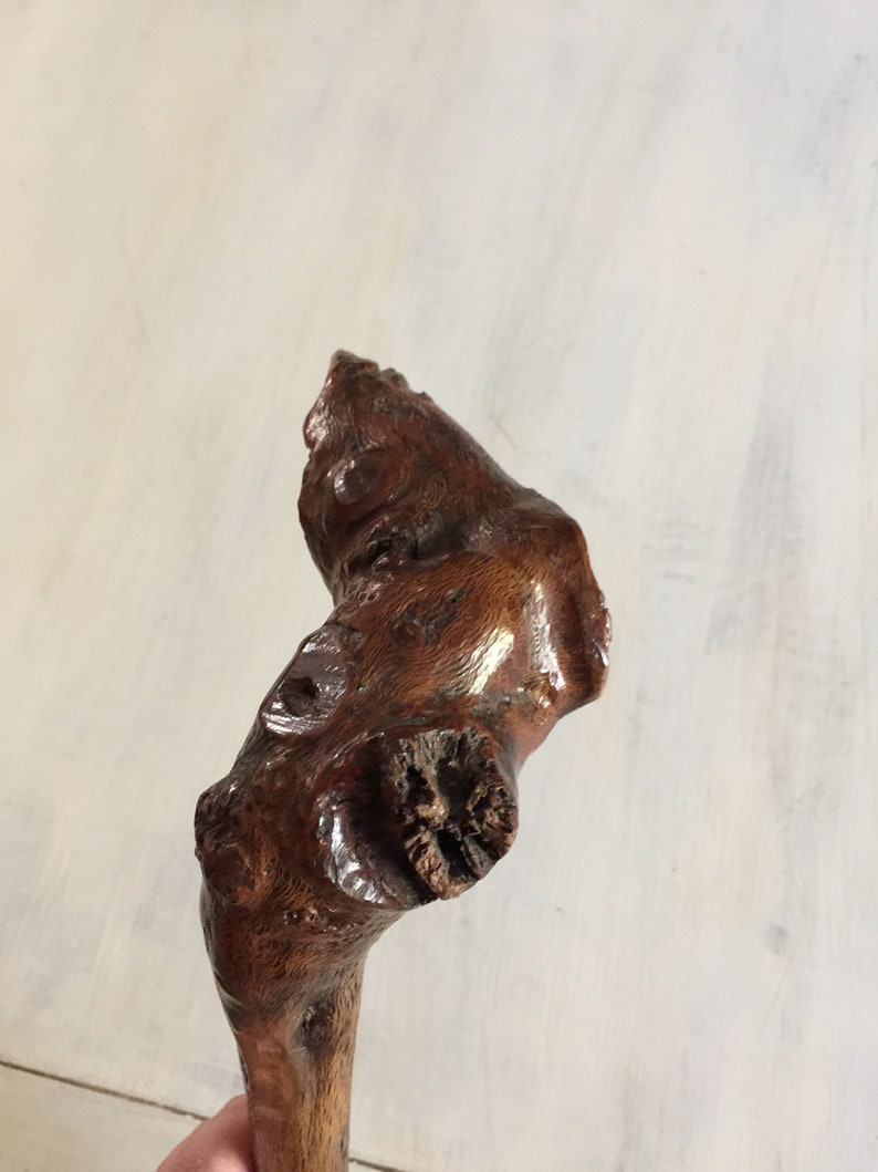 May include: A close-up of the top of a wooden walking stick. The stick is dark brown and has a natural, gnarled shape.